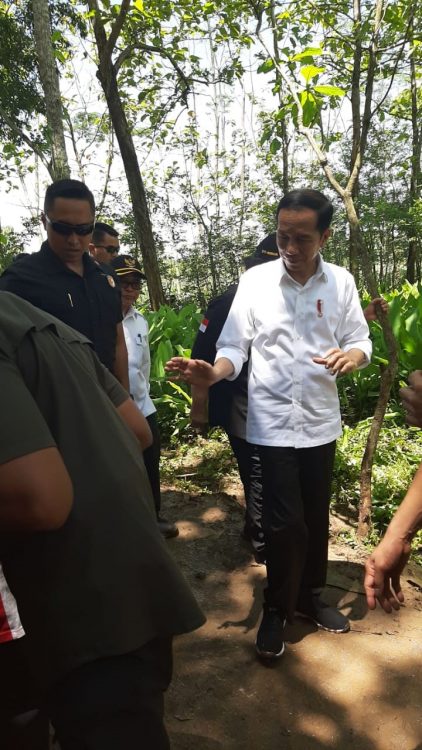 Presiden Jokowi meresmikan lahan agroforestry di desa Jatisari Kabupaten Wonogiri